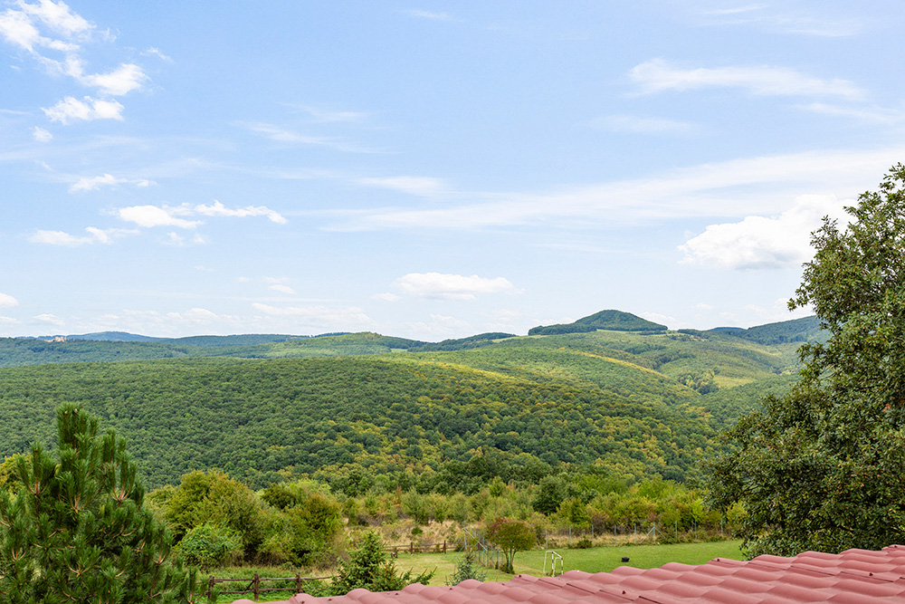 Areál Zdravia - Obrázok 25